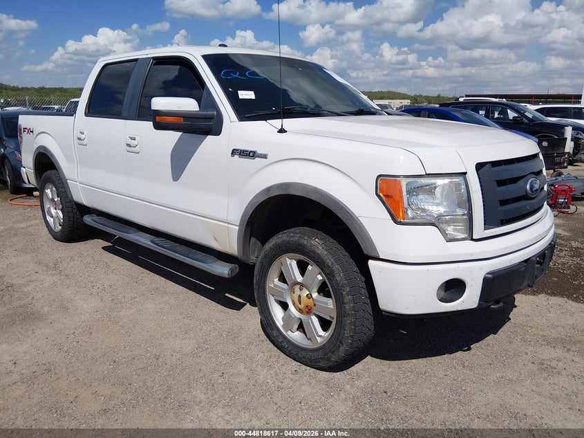 2010 FORD F-150 FX4/HARLEY-DAVIDSON/KING RANCH/LARIAT/PLATINUM/XL/XLT