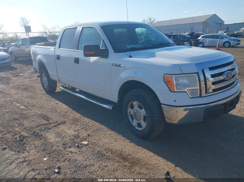 2010 Ford F-150 Xl/Xlt