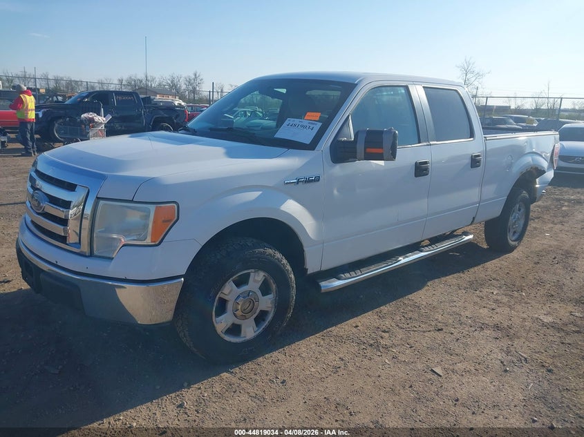 2010 Ford F-150 Xl/Xlt