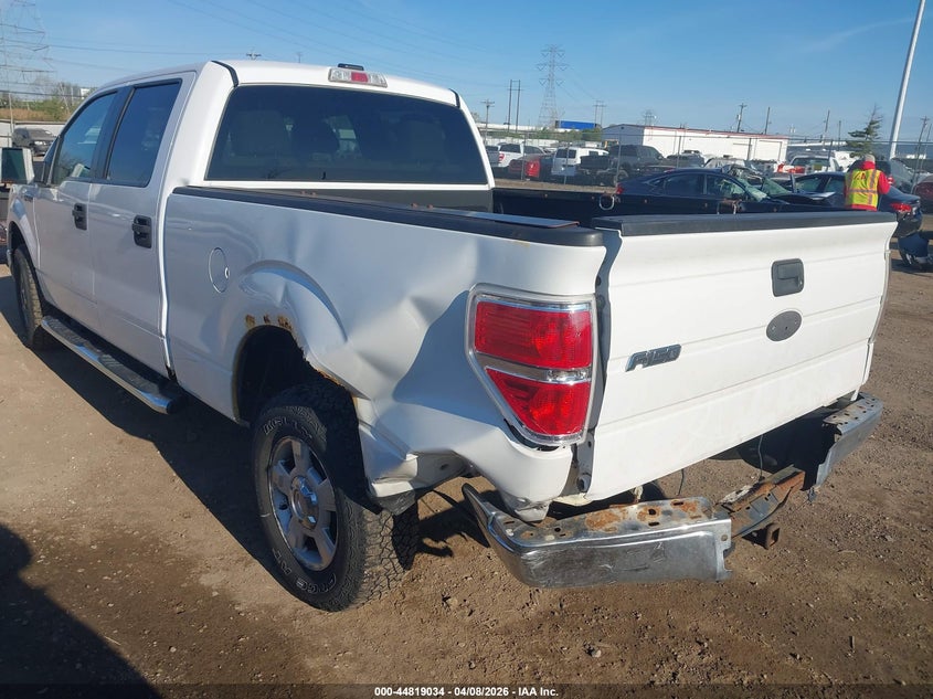 2010 Ford F-150 Xl/Xlt