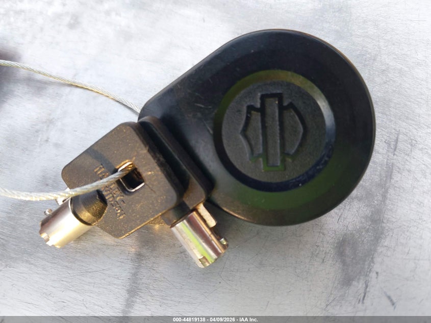 2020 Harley-Davidson Fltrk VIN: 1HD1KZF21LB612176 Lot: 44819138