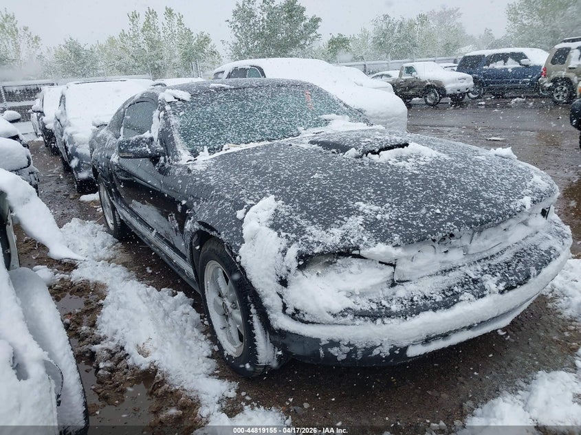 2007 Ford Mustang V6 Deluxe/V6 Premium