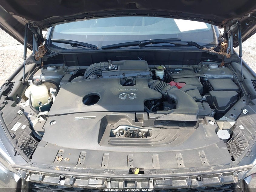 2021 Infiniti Qx50 Luxe VIN: 3PCAJ5BA8MF125307 Lot: 44820965