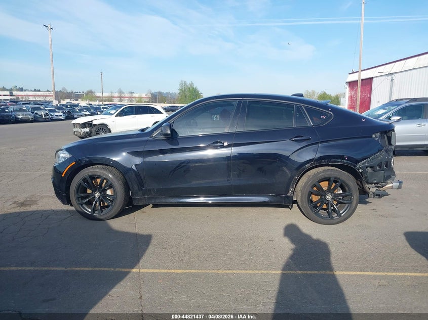 2017 BMW X6 xDrive50I VIN: 5UXKU6C34H0W38414 Lot: 44821437