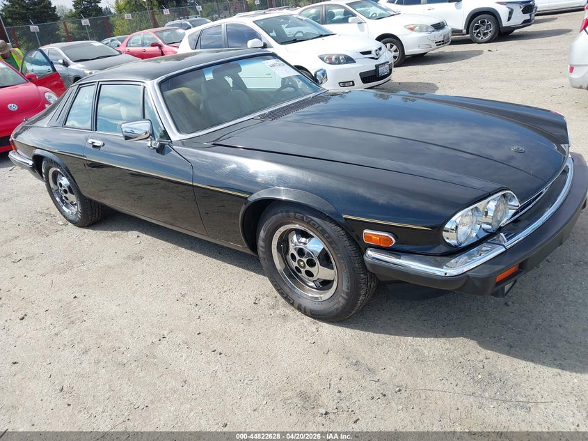 1983 Jaguar Xjs
