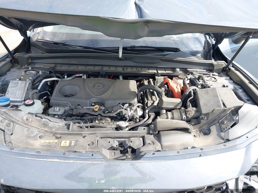 2025 Mazda Cx-50 Hybrid Premium Plus Package VIN: 7MMVAAEW5SN115771 Lot: 44823291