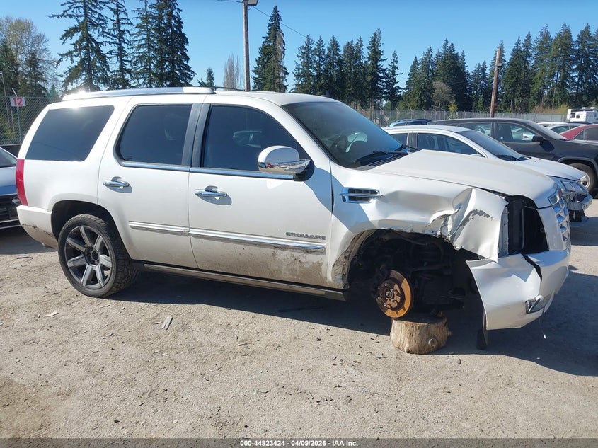 2010 Cadillac Escalade Premium VIN: 1GYUKCEF9AR258261 Lot: 44823424