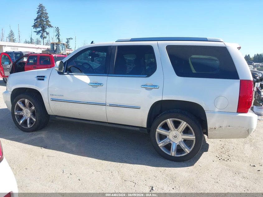 2010 Cadillac Escalade Premium VIN: 1GYUKCEF9AR258261 Lot: 44823424