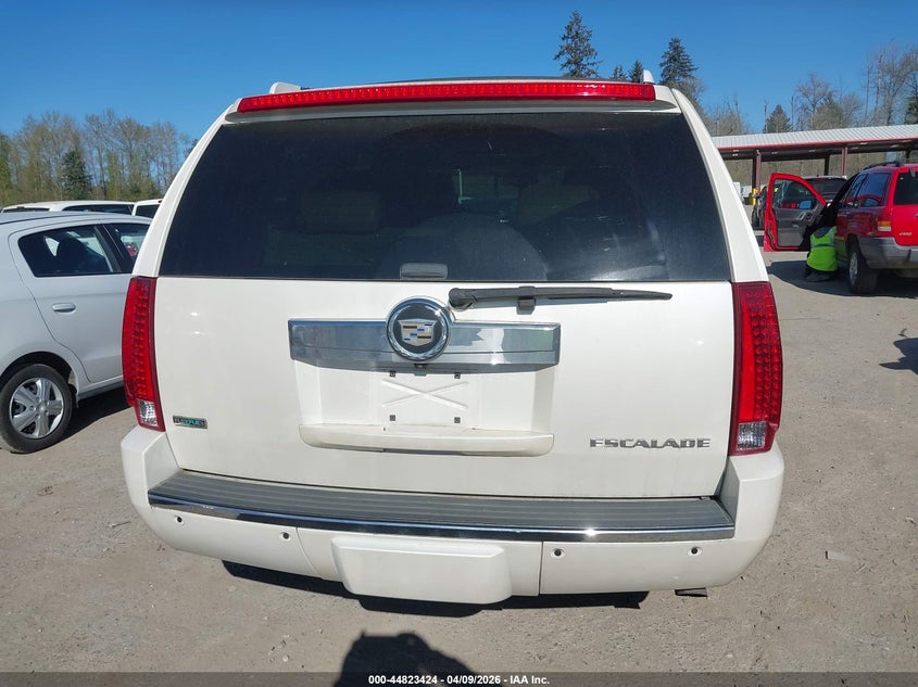 2010 Cadillac Escalade Premium VIN: 1GYUKCEF9AR258261 Lot: 44823424