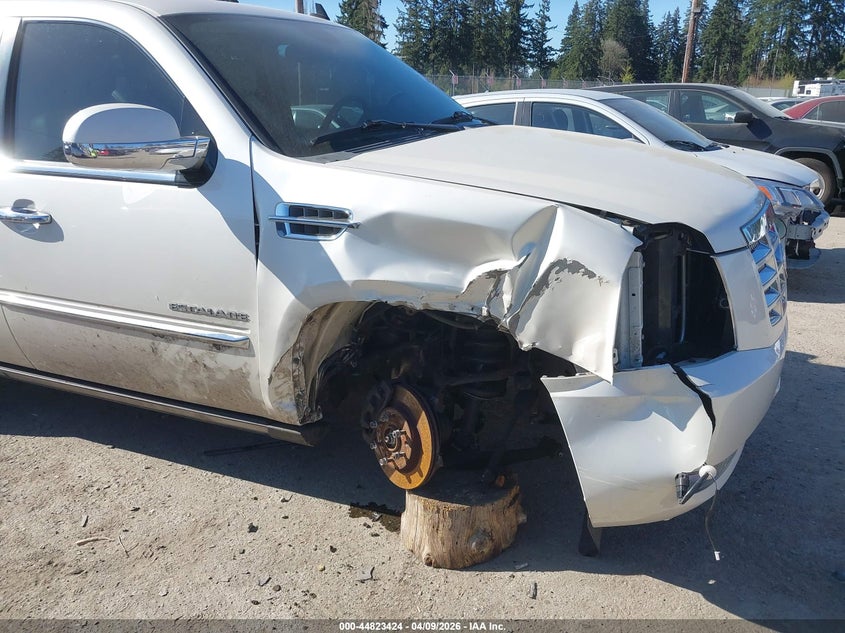 2010 Cadillac Escalade Premium VIN: 1GYUKCEF9AR258261 Lot: 44823424