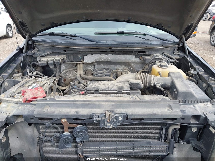 2013 Ford F-150 Xlt VIN: 1FTFX1EF1DFD24747 Lot: 44823595