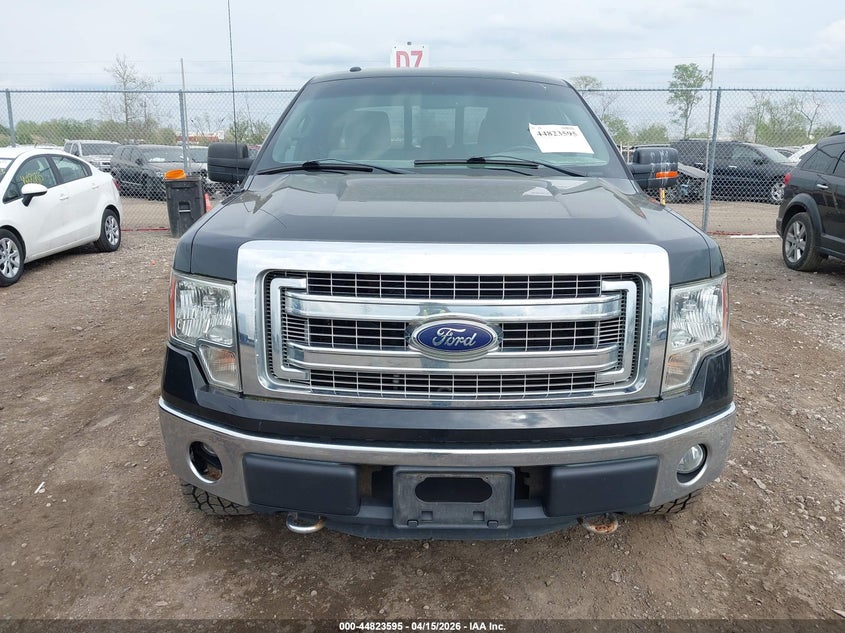 2013 Ford F-150 Xlt VIN: 1FTFX1EF1DFD24747 Lot: 44823595