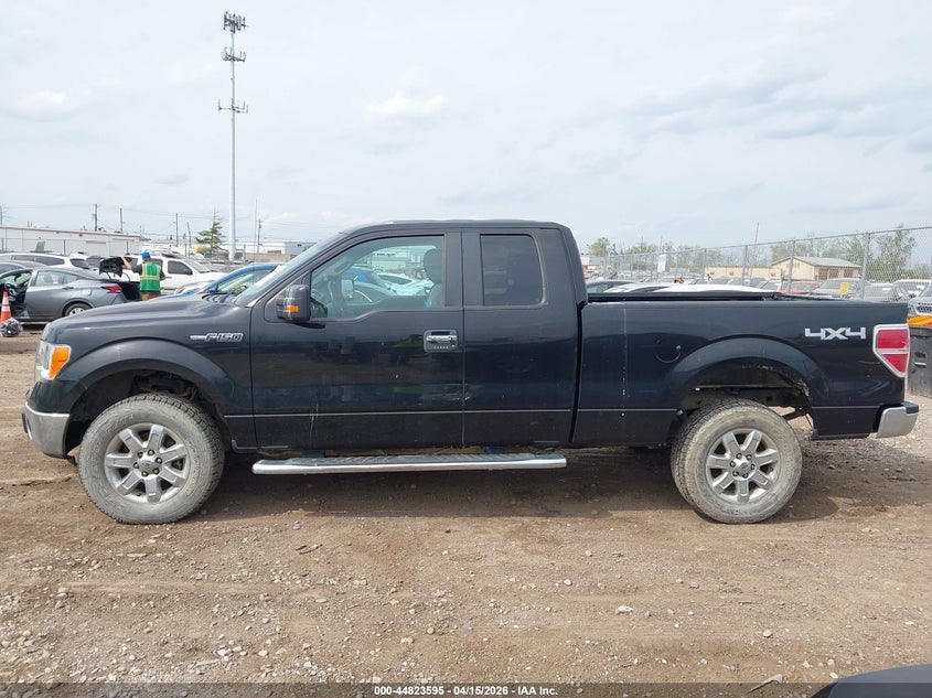2013 Ford F-150 Xlt VIN: 1FTFX1EF1DFD24747 Lot: 44823595