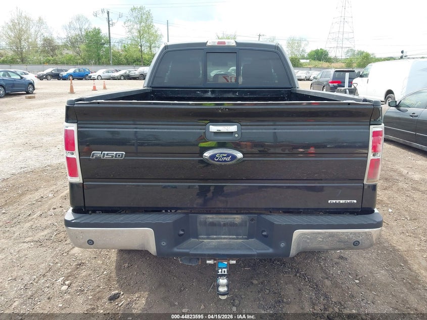 2013 Ford F-150 Xlt VIN: 1FTFX1EF1DFD24747 Lot: 44823595