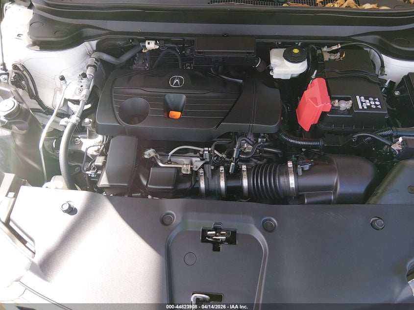 2021 Acura Rdx Standard VIN: 5J8TC1H38ML021600 Lot: 44823908