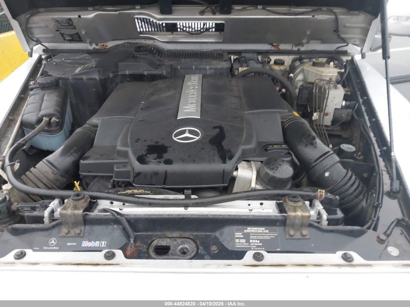 2004 Mercedes-Benz G 500 4Matic VIN: WDCYR49E74X145400 Lot: 44824820