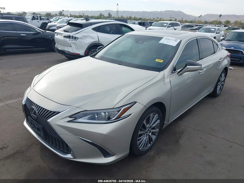 2019 Lexus Es 300H