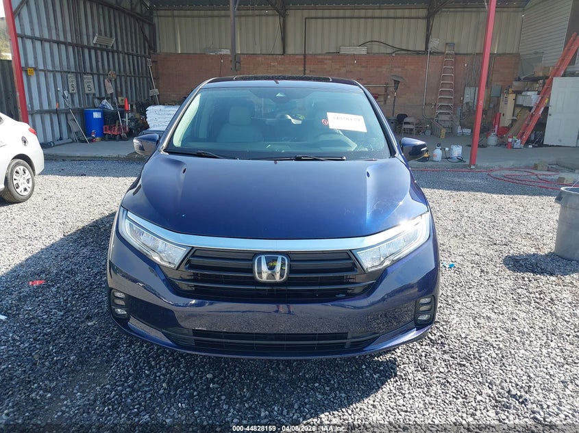 2022 Honda Odyssey Ex-L VIN: 5FNRL6H7XNB013799 Lot: 44828159