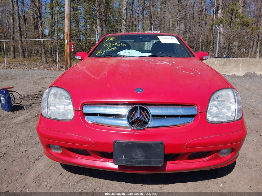 2003 Mercedes-Benz Slk 320 VIN: WDBKK65F93F282318 Lot: 44828216