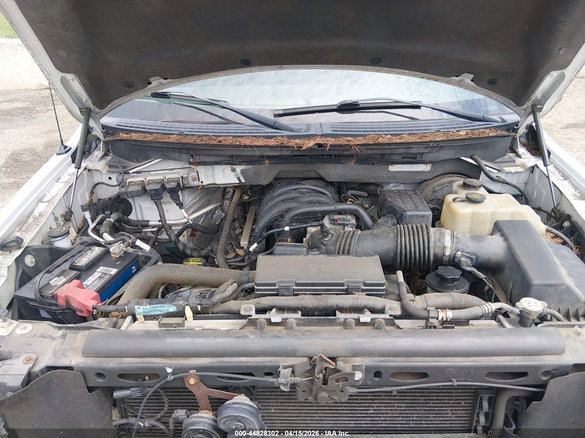 2009 Ford F-150 Stx/Xl/Xlt VIN: 1FTRX14829KB50363 Lot: 44828302