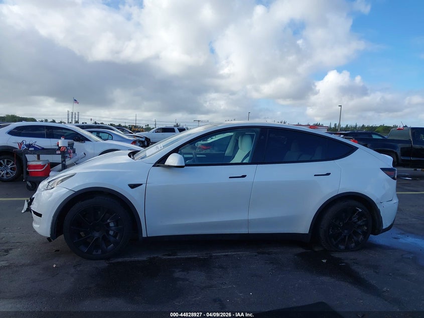 2023 Tesla Model y Rwd White Lot 111044828927 Vin 7SAYGDED9PF965598