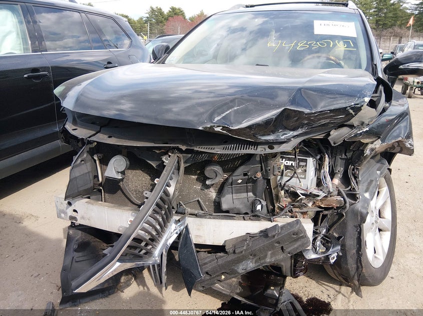 2010 Lexus Rx 350 VIN: 2T2BK1BA3AC065572 Lot: 44830767