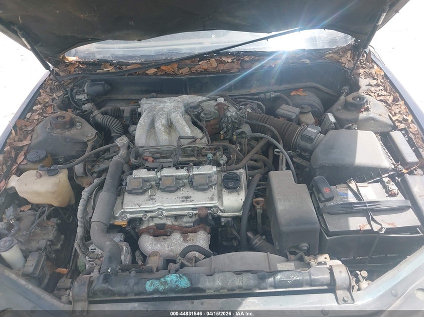 1994 Lexus Es 300 VIN: JT8GK13T0R0043818 Lot: 44831546