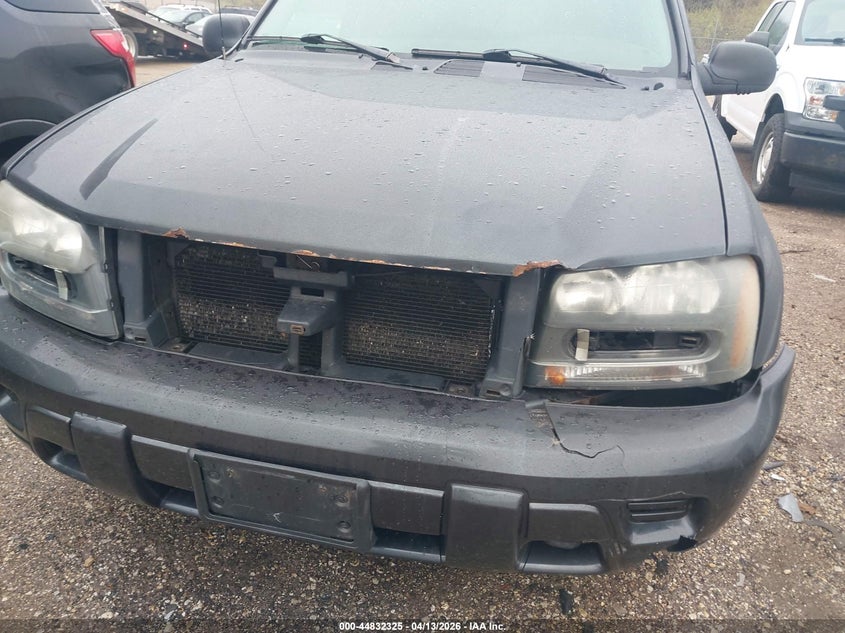 2003 Chevrolet Trailblazer Ls VIN: 1GNDT13S332223600 Lot: 44832325