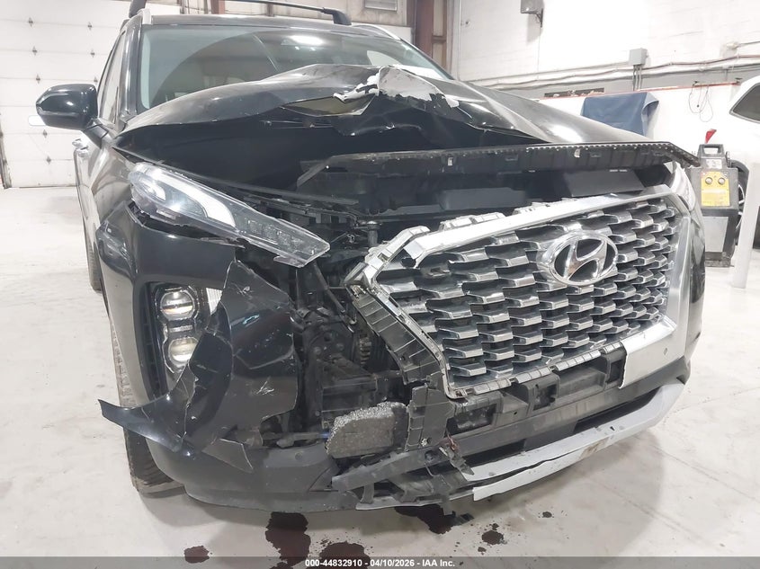 2020 Hyundai Palisade Sel VIN: KM8R4DHE2LU120796 Lot: 44832910