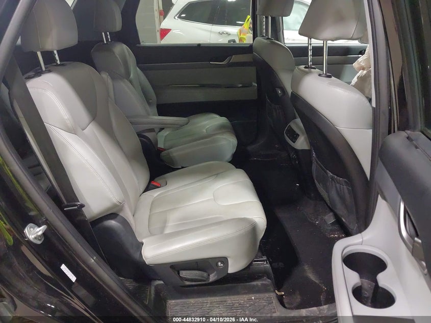 2020 Hyundai Palisade Sel VIN: KM8R4DHE2LU120796 Lot: 44832910