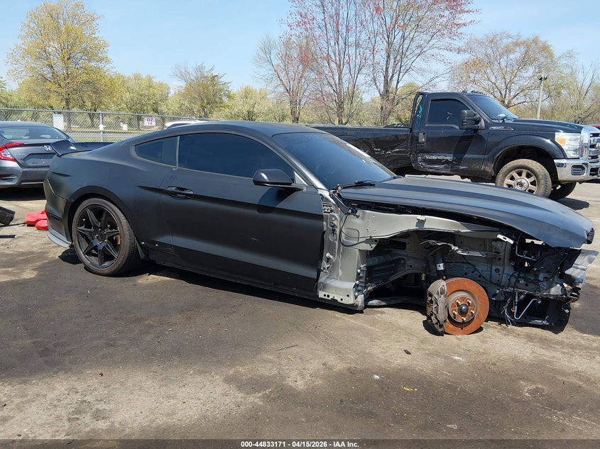 2016 Ford Mustang Ecoboost VIN: 1FA6P8TH7G5309750 Lot: 44833171