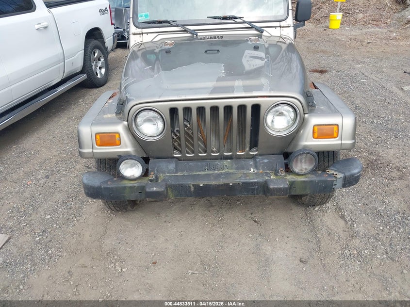 2003 Jeep Wrangler Sahara VIN: 1J4FA59S43P373976 Lot: 44833511