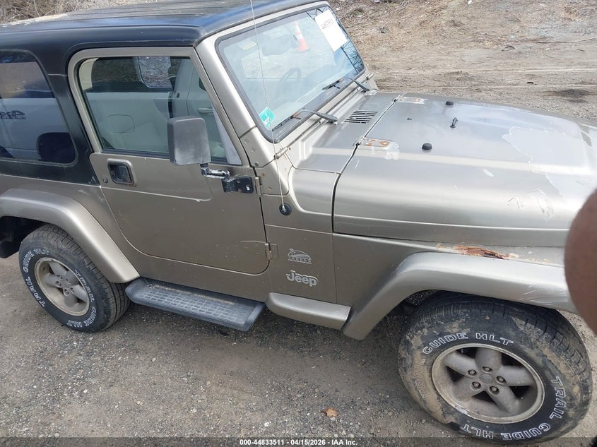 2003 Jeep Wrangler Sahara VIN: 1J4FA59S43P373976 Lot: 44833511