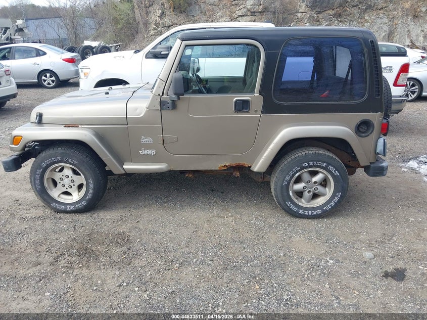 2003 Jeep Wrangler Sahara VIN: 1J4FA59S43P373976 Lot: 44833511