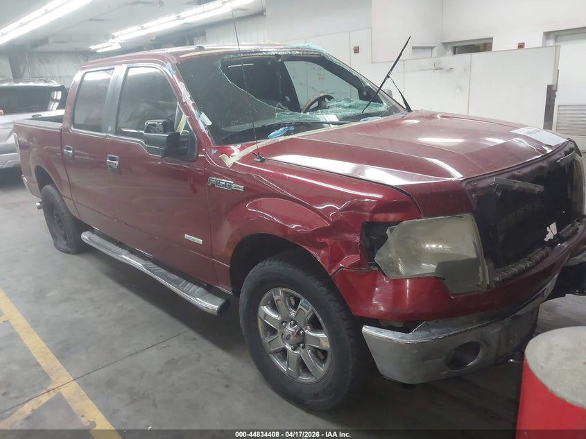 2014 FORD F-150 XLT