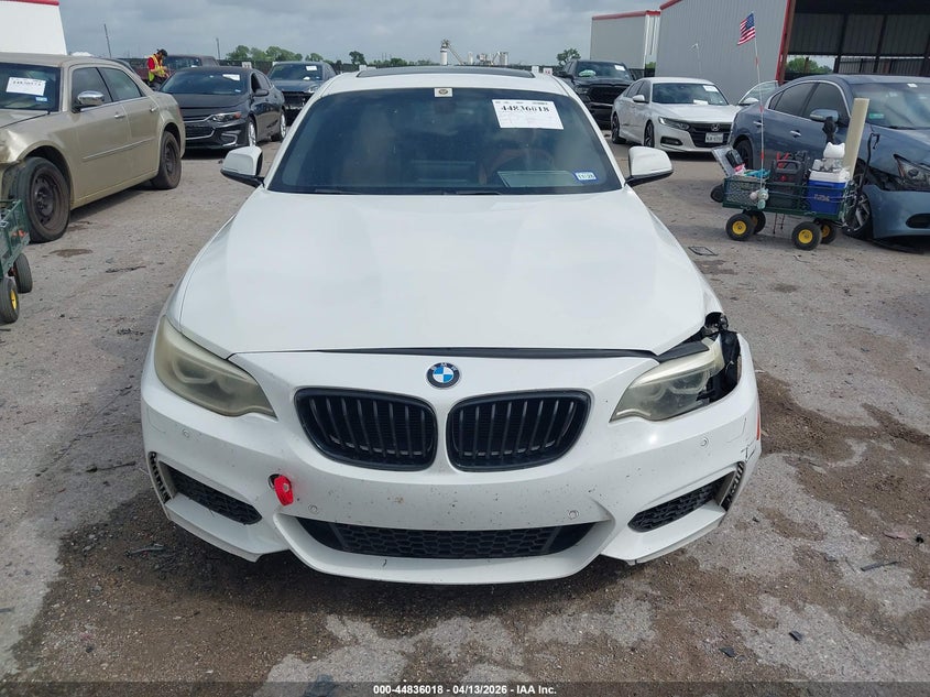 2014 BMW 228I VIN: WBA1F5C55EV255418 Lot: 44836018