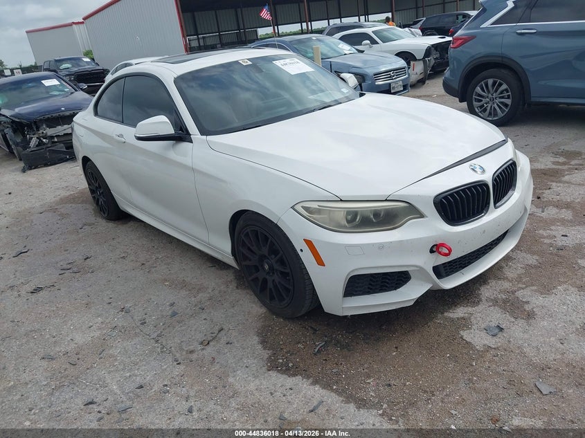 2014 BMW 228I VIN: WBA1F5C55EV255418 Lot: 44836018