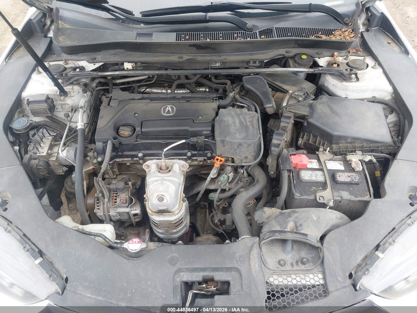 2020 Acura Tlx A-Spec/A-Spec W/Red Leather VIN: 19UUB1F63LA000555 Lot: 44836497