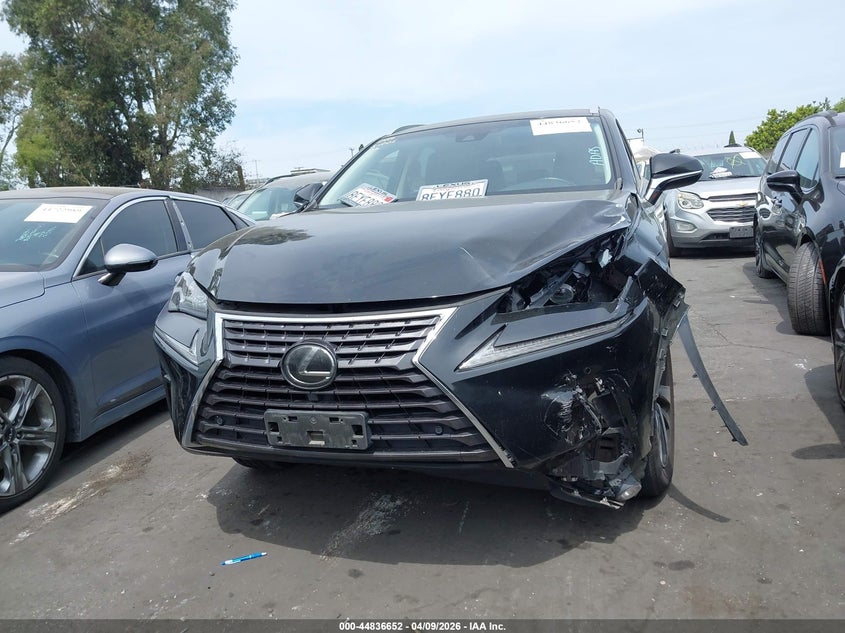 2019 Lexus Nx 300 VIN: JTJYARBZ1K2117588 Lot: 44836652
