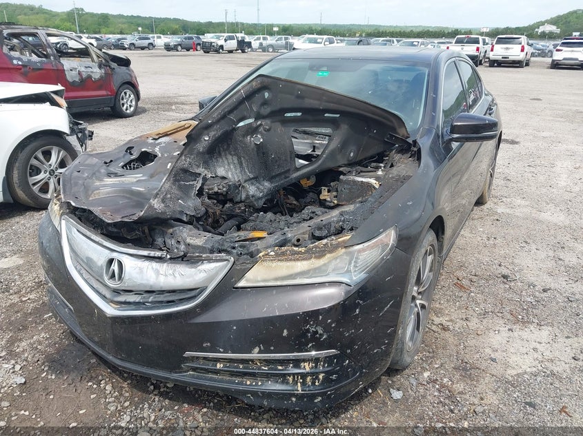 2015 Acura Tlx V6 Tech VIN: 19UUB2F59FA003767 Lot: 44837604