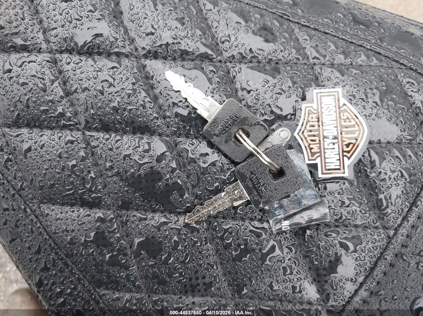 2019 Harley-Davidson Xl1200 Ns VIN: 1HD1LP315KC425643 Lot: 44837680