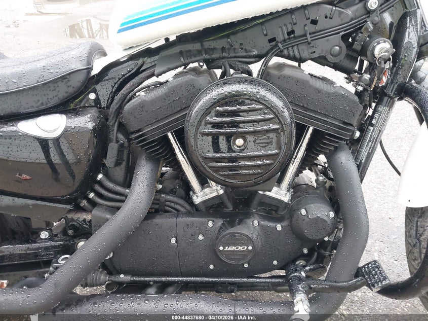 2019 Harley-Davidson Xl1200 Ns VIN: 1HD1LP315KC425643 Lot: 44837680