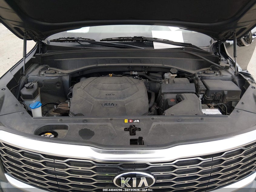 2020 Kia Telluride Sx VIN: 5XYP5DHC4LG050808 Lot: 44840255