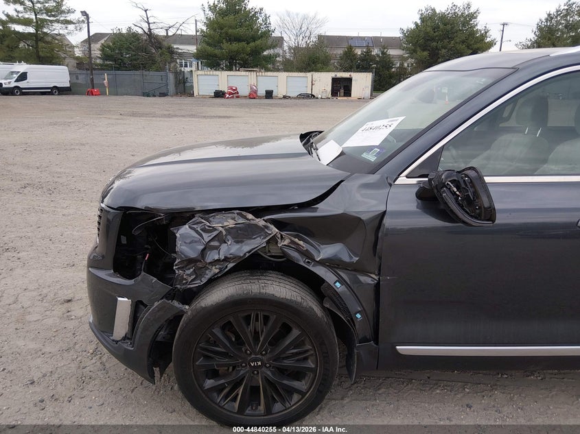 2020 Kia Telluride Sx VIN: 5XYP5DHC4LG050808 Lot: 44840255