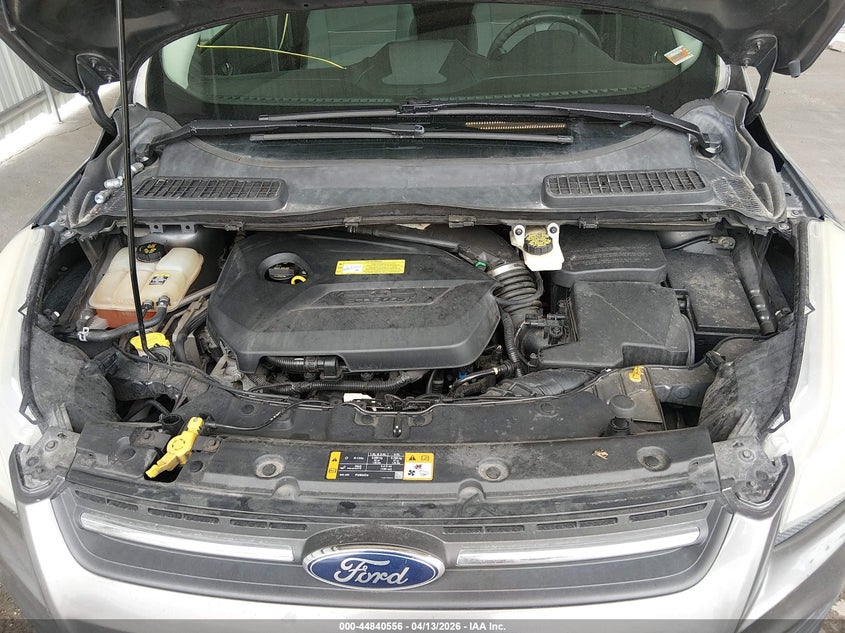 AtlanticExpress - Ford Escape