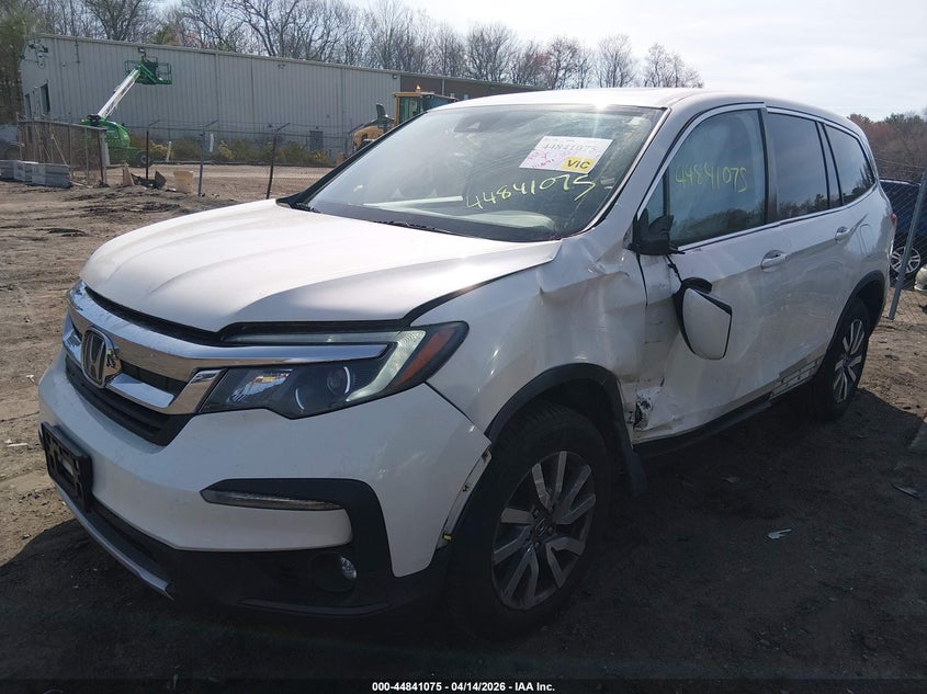 2019 Honda Pilot 3.5 Ex-L white Lot 111044841075 Vin 5FNYF6H40KB066998
