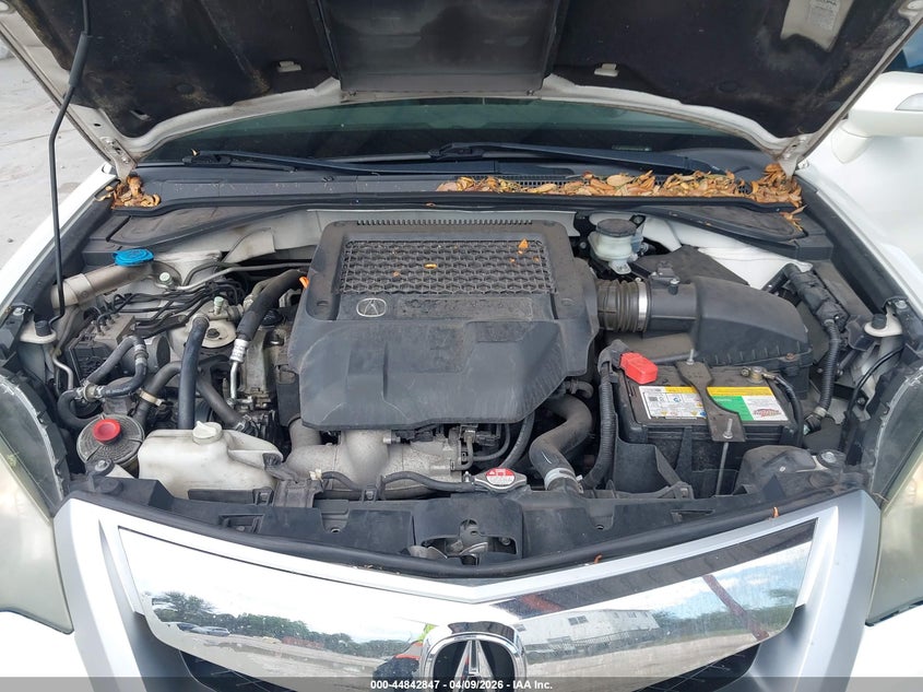 2010 Acura Rdx VIN: 5J8TB2H22AA004346 Lot: 44842847