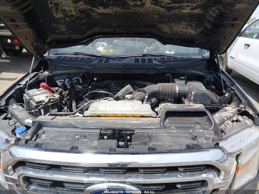 2023 Ford F-150 Xlt VIN: 1FTFW1E5XPKD26129 Lot: 44843154