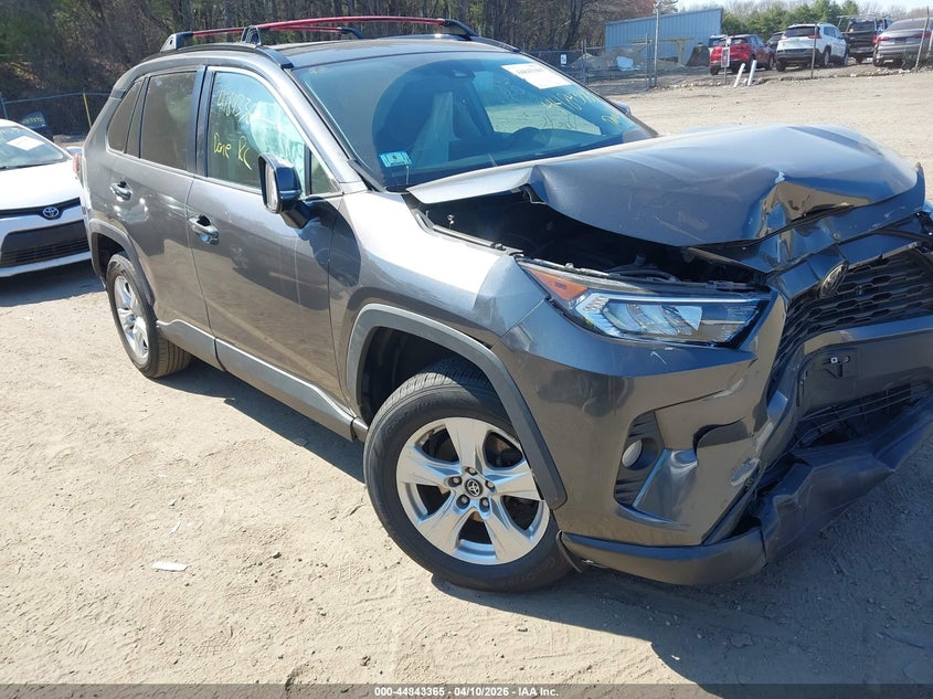 2019 TOYOTA RAV4 XLE