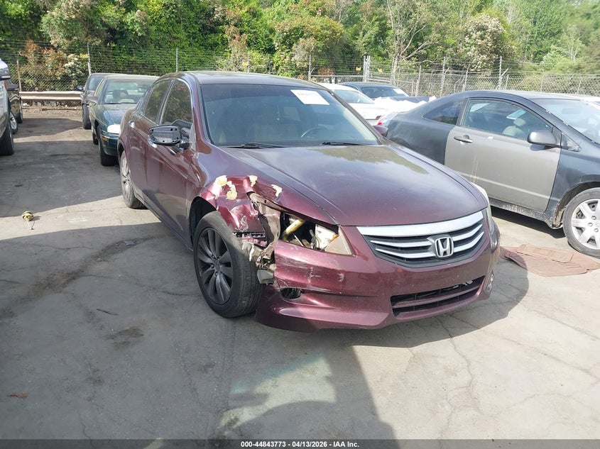 2011 Honda Accord 3.5 Ex-L